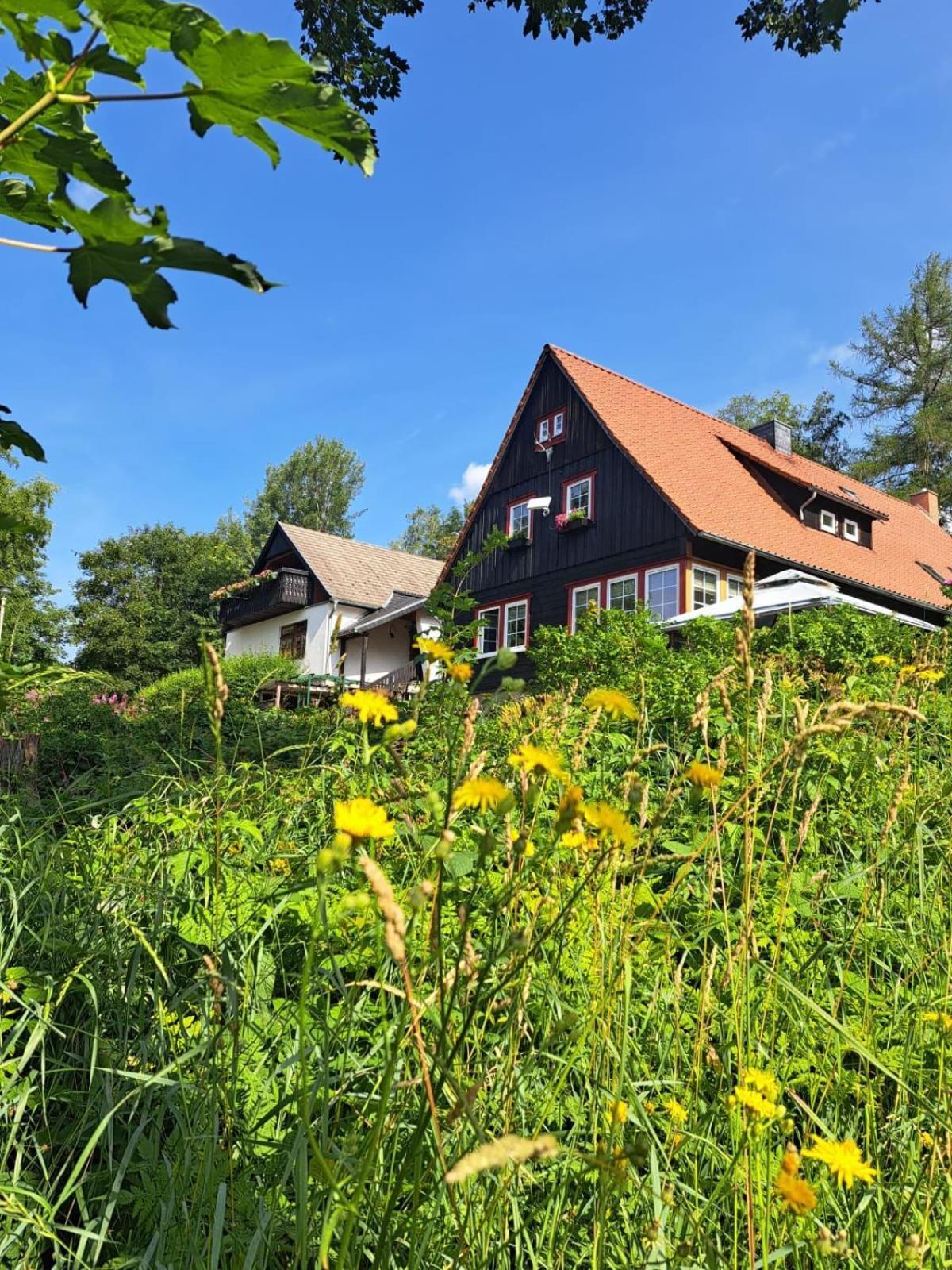 Apartamento Haus Erna Schierke Exterior foto