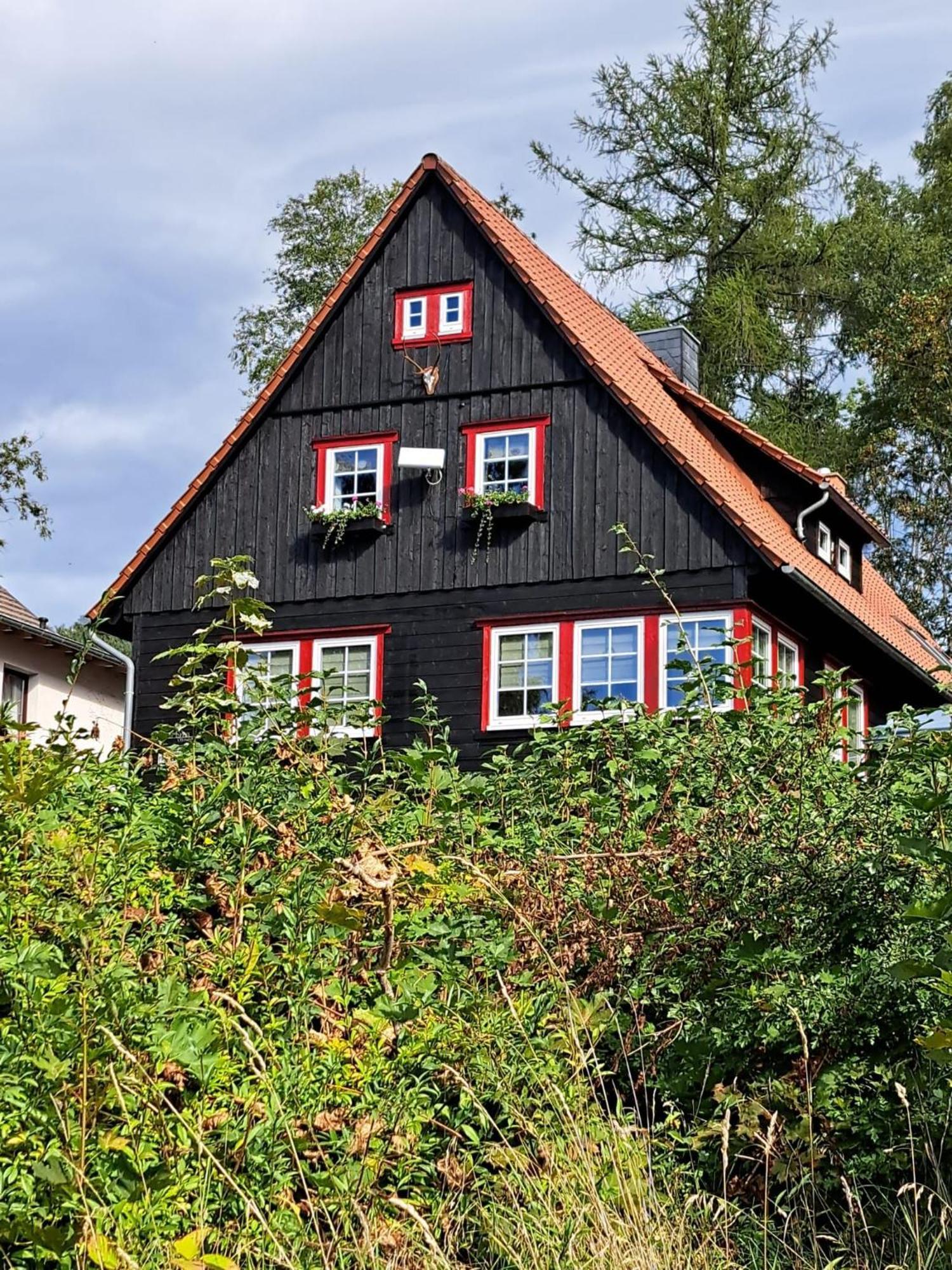 Apartamento Haus Erna Schierke Exterior foto